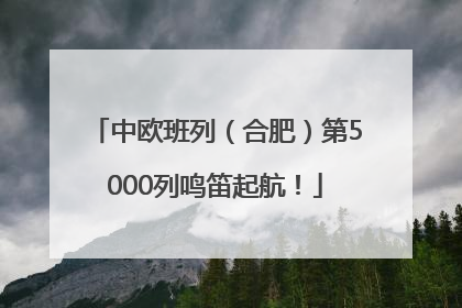 中欧班列（合肥）第5000列鸣笛起航！