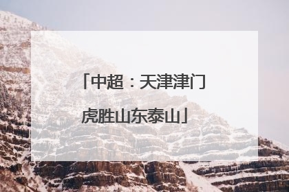 中超：天津津门虎胜山东泰山