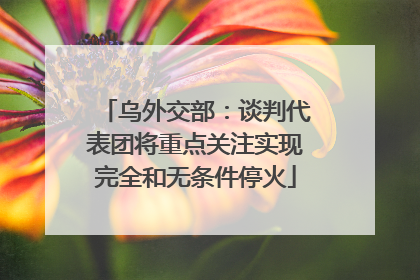 乌外交部：谈判代表团将重点关注实现完全和无条件停火