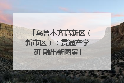 乌鲁木齐高新区（新市区）：贯通产学研 融出新图景