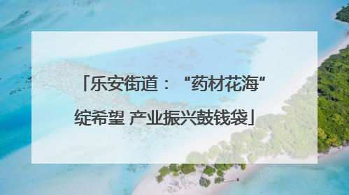 乐安街道：“药材花海”绽希望 产业振兴鼓钱袋