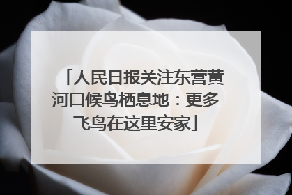 人民日报关注东营黄河口候鸟栖息地：更多飞鸟在这里安家