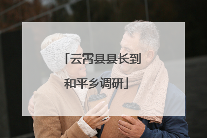 云霄县县长到和平乡调研