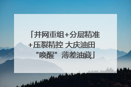 井网重组+分层精准+压裂精控 大庆油田“唤醒”薄差油藏