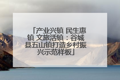 产业兴镇 民生惠镇 文旅活镇：谷城县五山镇打造乡村振兴示范样板