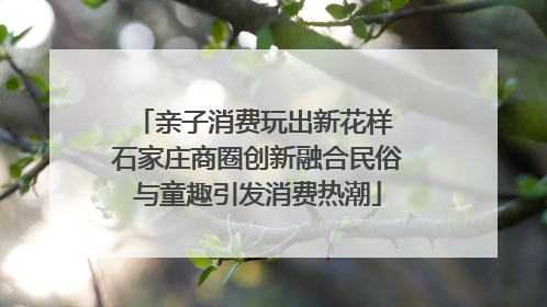 亲子消费玩出新花样 石家庄商圈创新融合民俗与童趣引发消费热潮