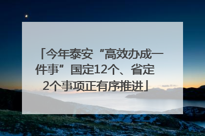 今年泰安“高效办成一件事”国定12个、省定2个事项正有序推进