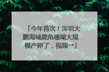 今年首次！深圳大鹏海域鹿角珊瑚大规模产卵了，视频→