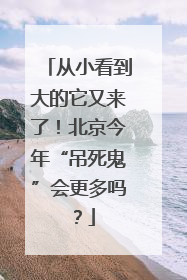 从小看到大的它又来了！北京今年“吊死鬼”会更多吗？