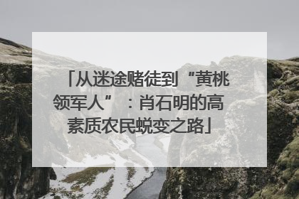 从迷途赌徒到“黄桃领军人”：肖石明的高素质农民蜕变之路