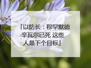 以防长：穆罕默德·辛瓦尔已死 这些人是下个目标