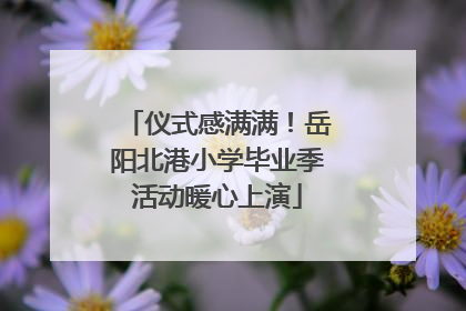 仪式感满满！岳阳北港小学毕业季活动暖心上演