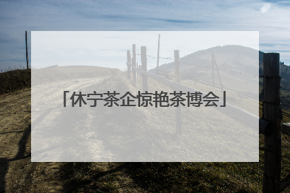 休宁茶企惊艳茶博会