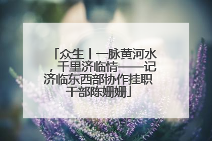 众生丨一脉黄河水，千里济临情——记济临东西部协作挂职干部陈姗姗