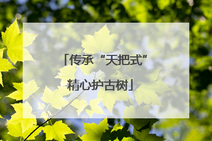 传承“天把式” 精心护古树