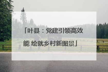 叶县：党建引领高效能 绘就乡村新图景