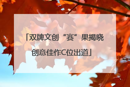 双牌文创“赛”果揭晓 创意佳作C位出道