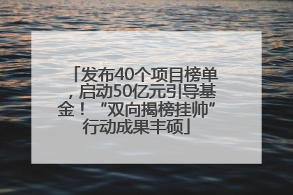发布40个项目榜单，启动50亿元引导基金！“双向揭榜挂帅”行动成果丰硕