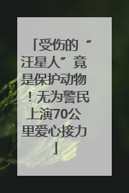 受伤的“汪星人”竟是保护动物！无为警民上演70公里爱心接力