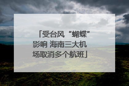 受台风“蝴蝶”影响 海南三大机场取消多个航班