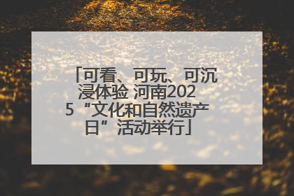 可看、可玩、可沉浸体验 河南2025“文化和自然遗产日”活动举行