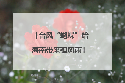 台风“蝴蝶”给海南带来强风雨