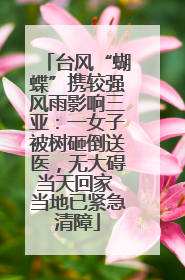台风“蝴蝶”携较强风雨影响三亚：一女子被树砸倒送医，无大碍当天回家 当地已紧急清障