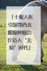 十堰人医引领鄂西北腮腺肿瘤治疗迈入“无痕”时代