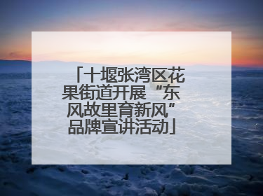 十堰张湾区花果街道开展“东风故里育新风”品牌宣讲活动