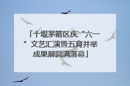 十堰茅箭区庆“六一”文艺汇演暨五育并举成果展圆满落幕