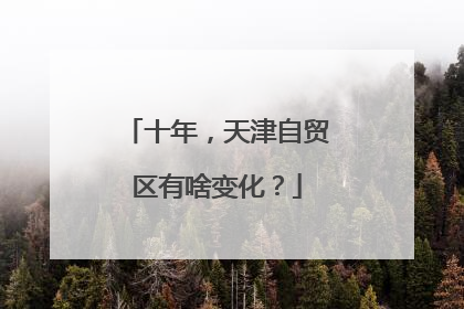 十年，天津自贸区有啥变化？