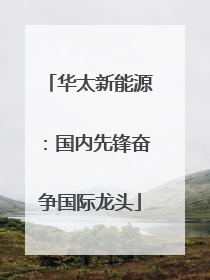 华太新能源：国内先锋奋争国际龙头