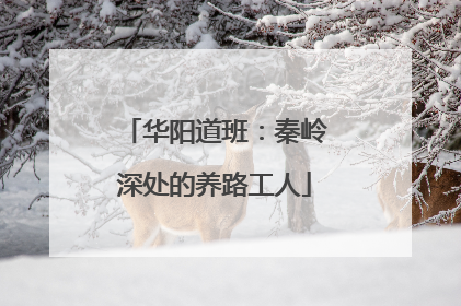 华阳道班：秦岭深处的养路工人