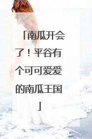 南瓜开会了！平谷有个可可爱爱的南瓜王国