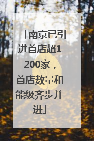 南京已引进首店超1200家，首店数量和能级齐步并进