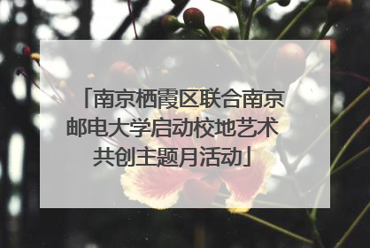 南京栖霞区联合南京邮电大学启动校地艺术共创主题月活动