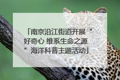南京沿江街道开展“好奇心 维系生命之源”海洋科普主题活动