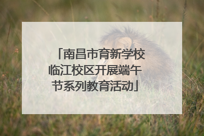 南昌市育新学校临江校区开展端午节系列教育活动