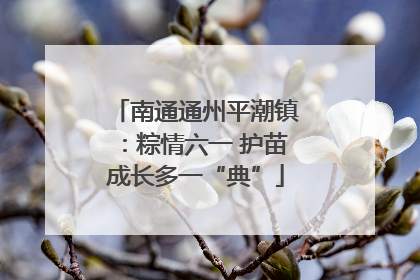 南通通州平潮镇：粽情六一 护苗成长多一“典”