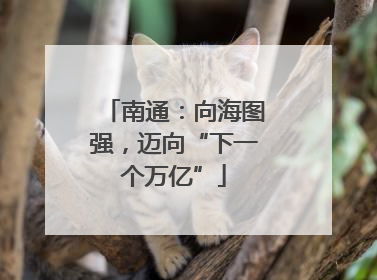 南通：向海图强，迈向“下一个万亿”