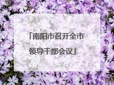 南阳市召开全市领导干部会议