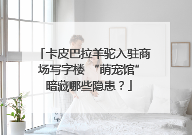 卡皮巴拉羊驼入驻商场写字楼 “萌宠馆”暗藏哪些隐患？
