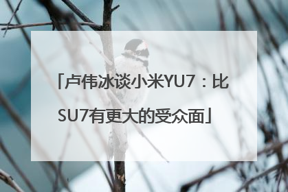 卢伟冰谈小米YU7：比SU7有更大的受众面