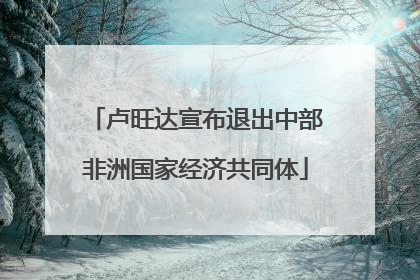 卢旺达宣布退出中部非洲国家经济共同体