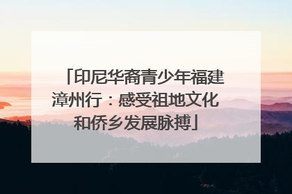 印尼华裔青少年福建漳州行：感受祖地文化和侨乡发展脉搏