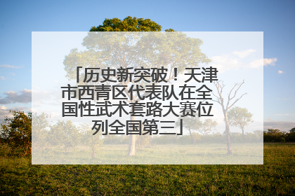 历史新突破！天津市西青区代表队在全国性武术套路大赛位列全国第三