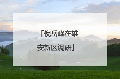 倪岳峰在雄安新区调研