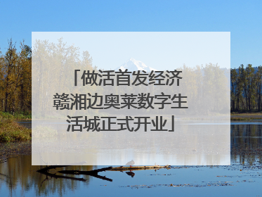 做活首发经济 赣湘边奥莱数字生活城正式开业