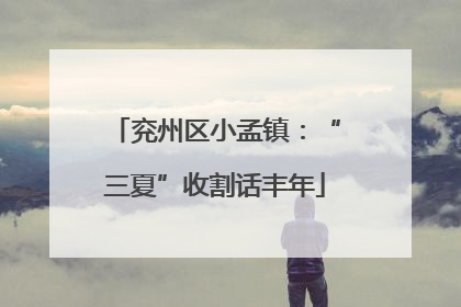 兖州区小孟镇：“三夏”收割话丰年