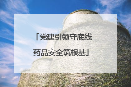 党建引领守底线 药品安全筑根基